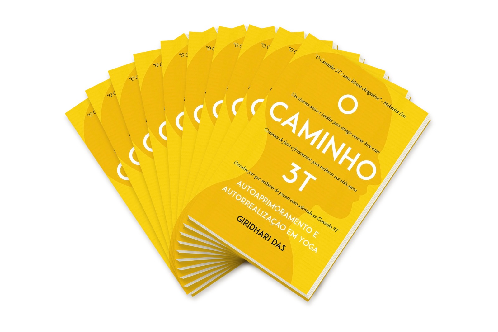 Kit 10 Livros O Caminho 3T